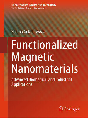 cover image of Functionalized Magnetic Nanomaterials